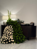ARRANGE PACKAGE | بكج تنسيق