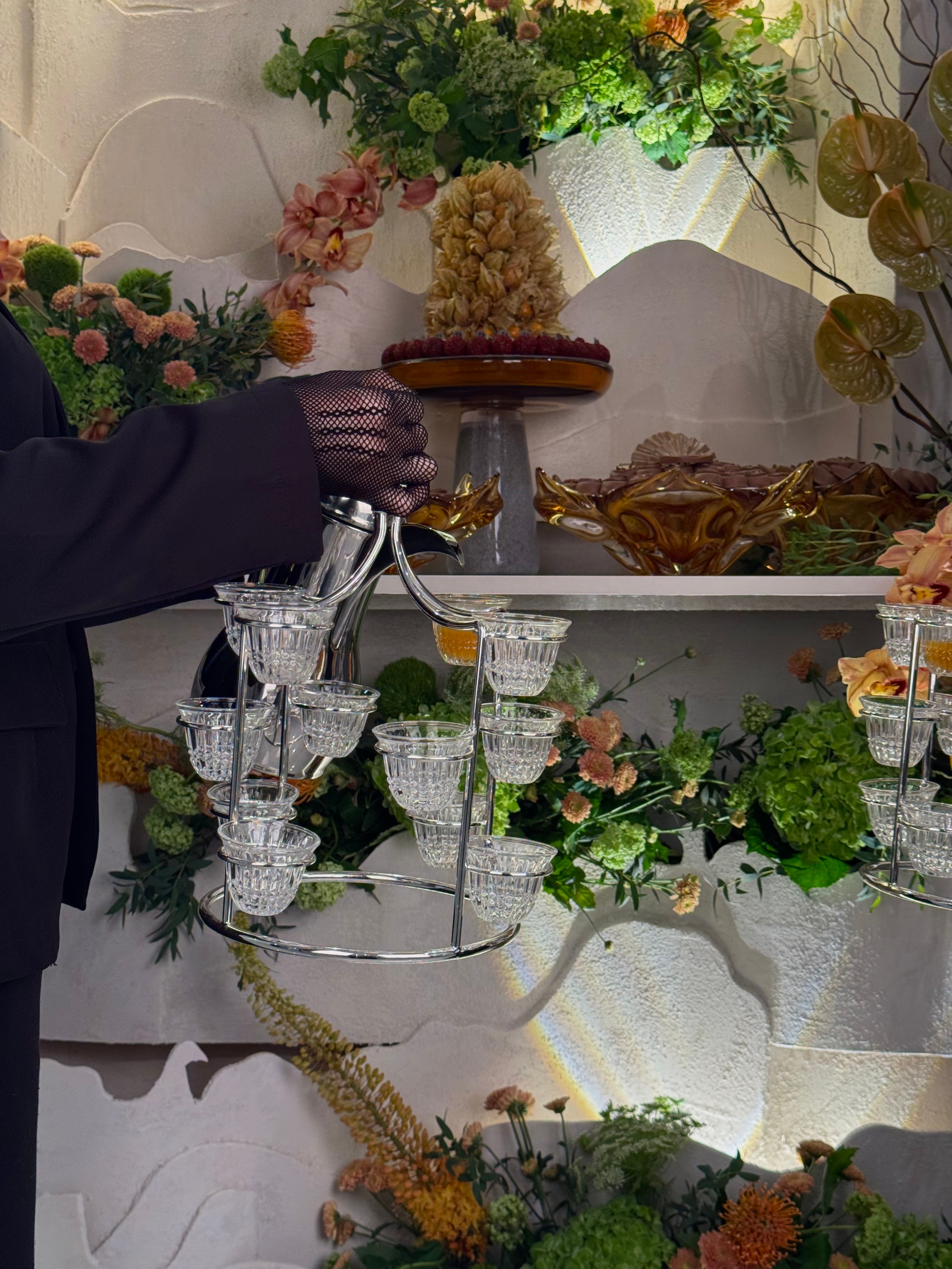 HOSTARA | ثيم هوستارا