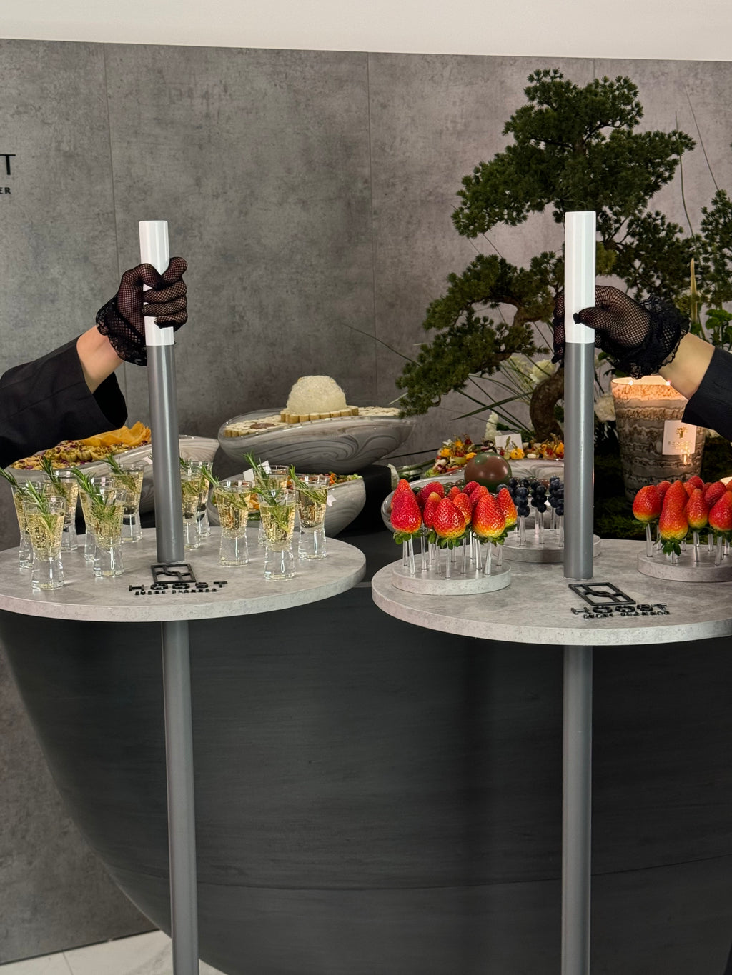 WEDDING BONSAI | أعراس ثيم بونساي