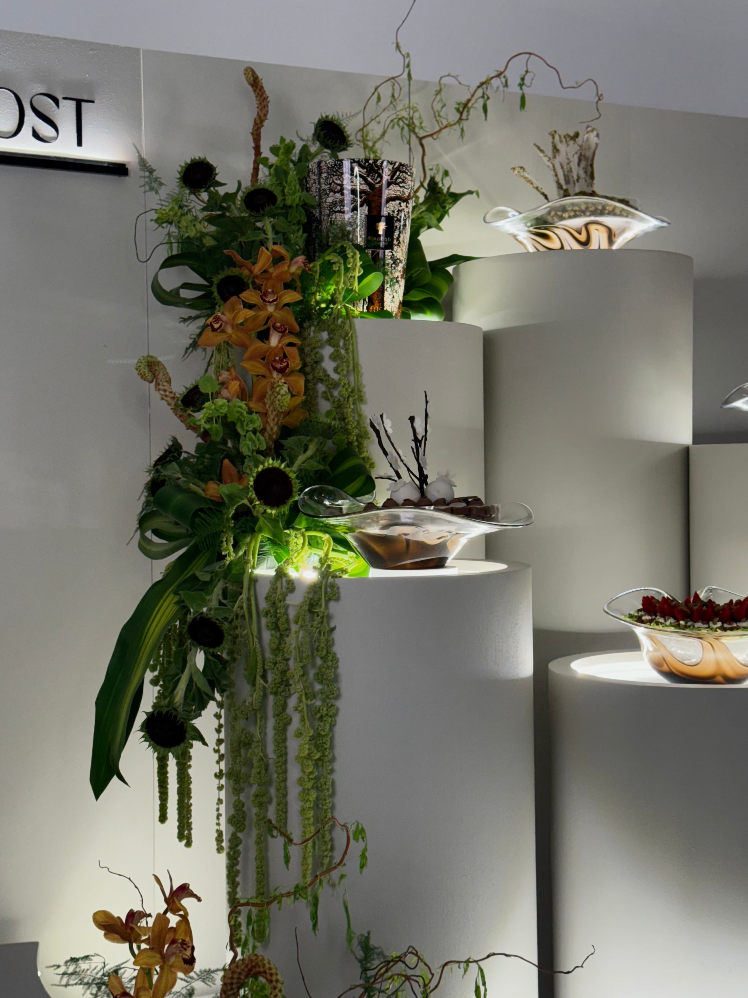 SUNFLORIA | ثيم سن فلوريا